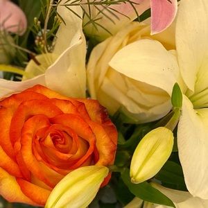 Meet your Posher, Fet